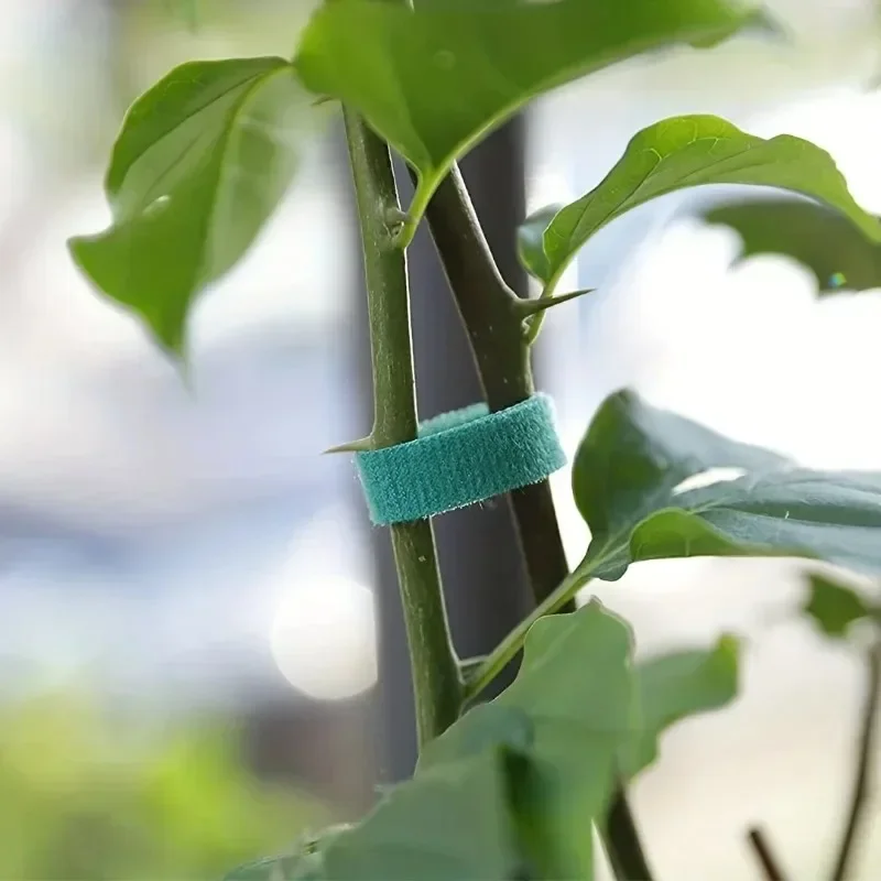 Zelfklevende Plant Nylon Kabel - Gear Tie Reusable recensie en prijs