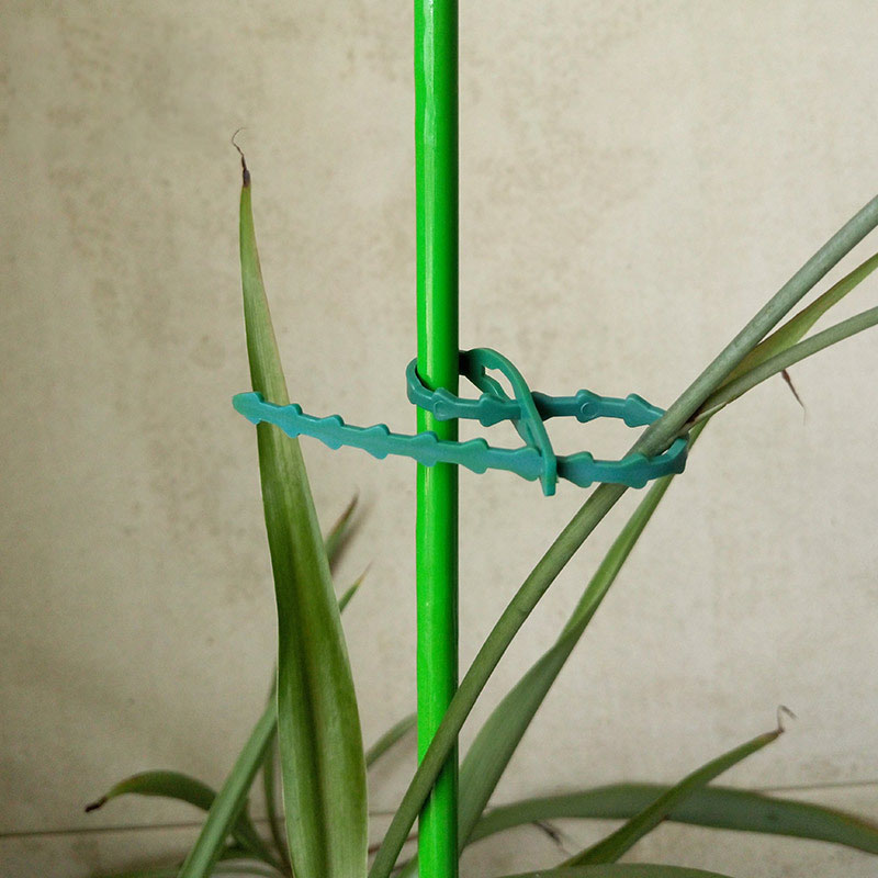 50/100 Stuks Herbruikbare Tuin - Gear Tie Reusable recensie en prijs